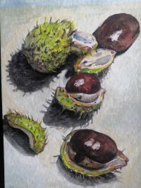 portfolio/20