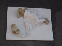 portfolio/dsc00507